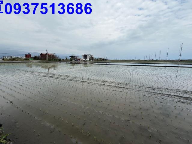 宜蘭壯圍農地-4