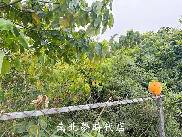 中埔農地-1