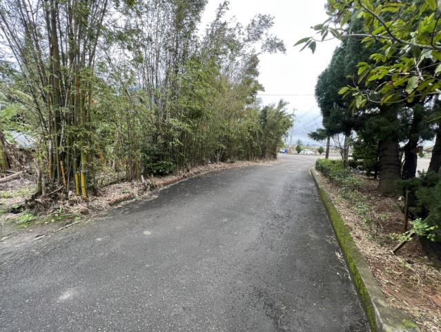楊梅建地-3