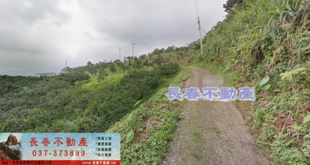 苗栗大湖農地-2