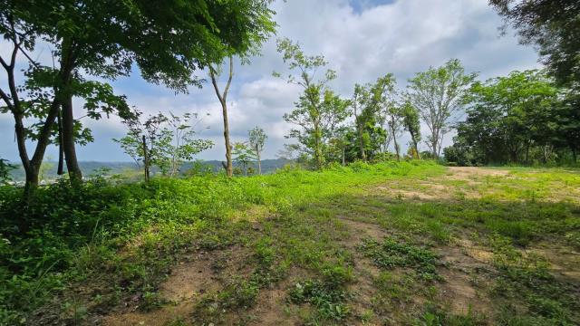 北埔農地-6
