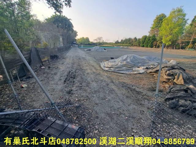 田中農地-4