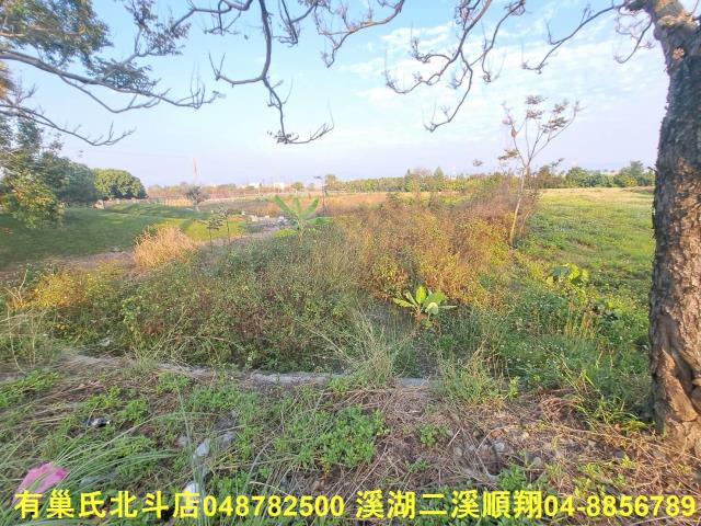 田中農地-2