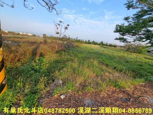 田中農地-3