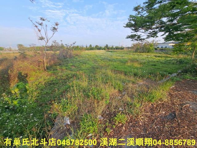 田中農地-4