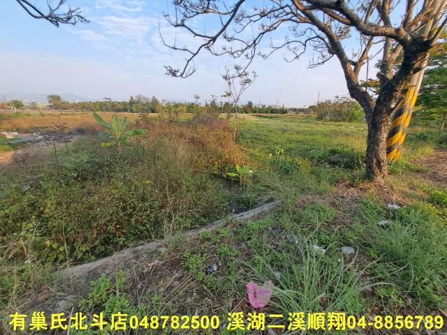 田中農地-6