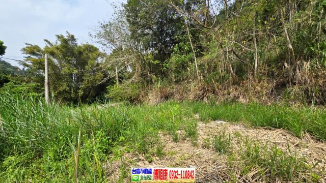 新竹農地-3