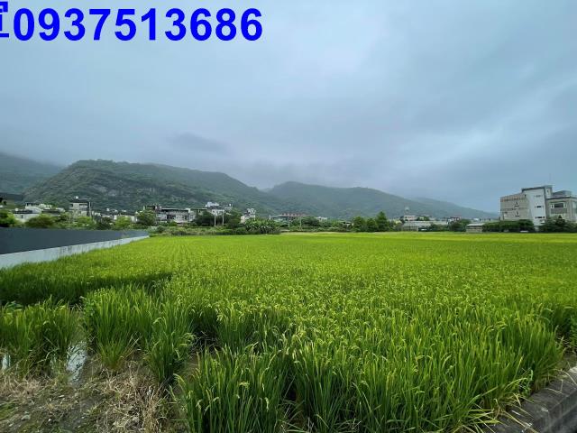 宜蘭農地-7