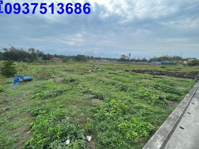 宜蘭農地-1