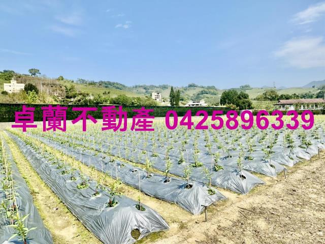 苗栗卓蘭農地-4