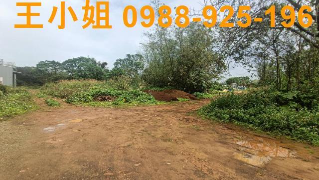 桃園龍潭建地-4