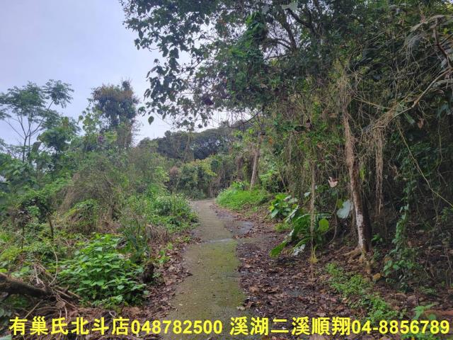 彰化員林農地-6