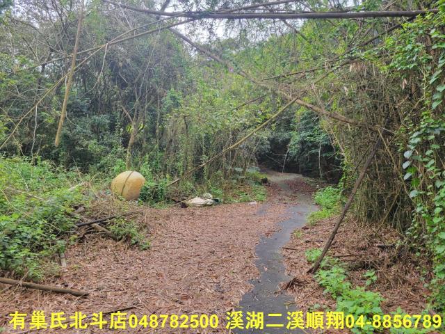 彰化員林農地-7