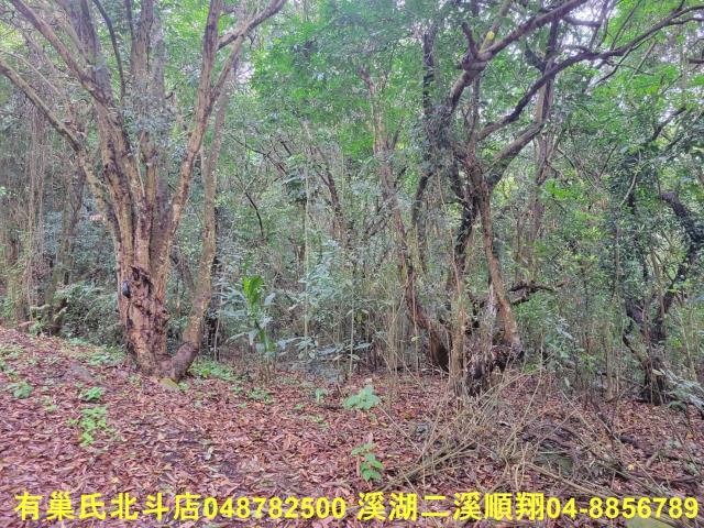彰化員林農地-8