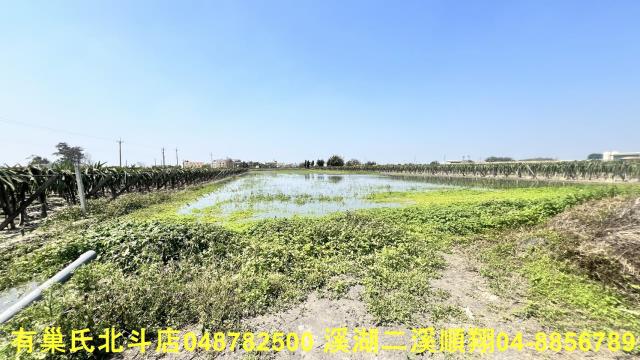 二林農地-2