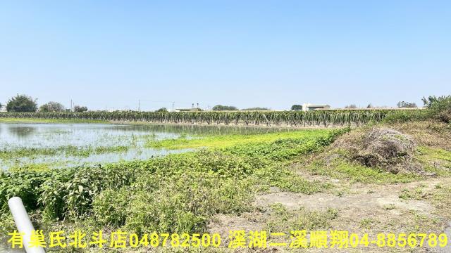 二林農地-3