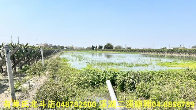 二林農地-4