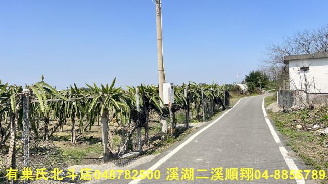 二林農地-5