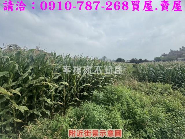 新營農地-10
