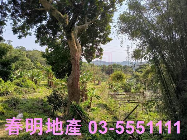新竹農地-4