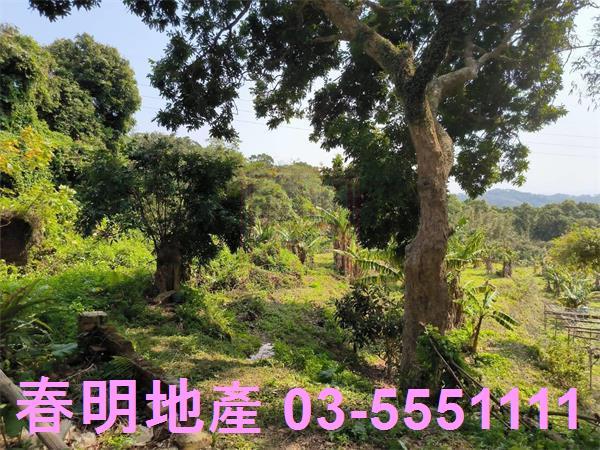 新竹農地-5