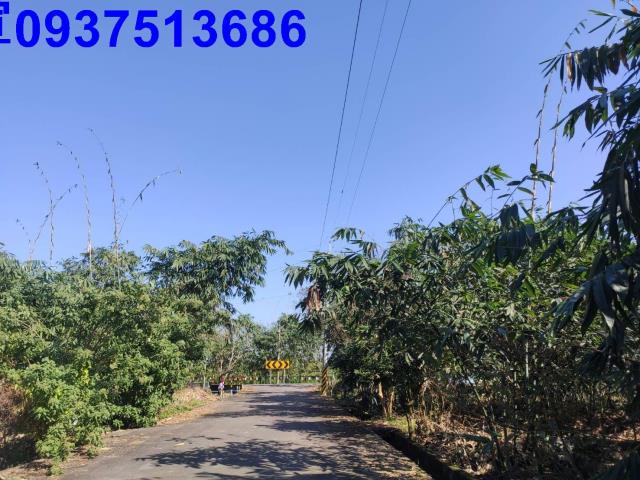 宜蘭宜蘭市農地-13