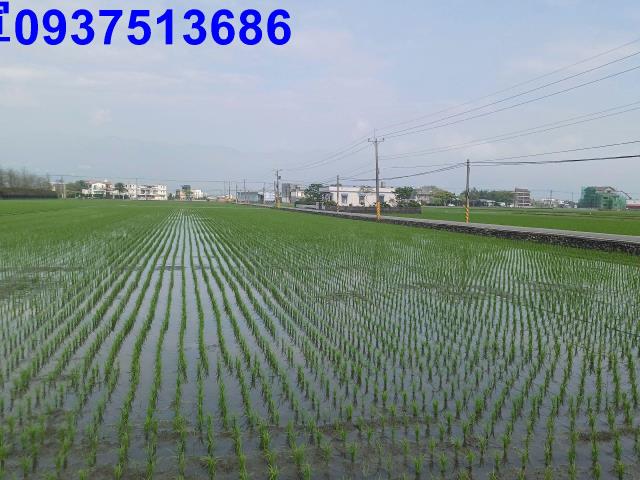 宜蘭壯圍農地-12