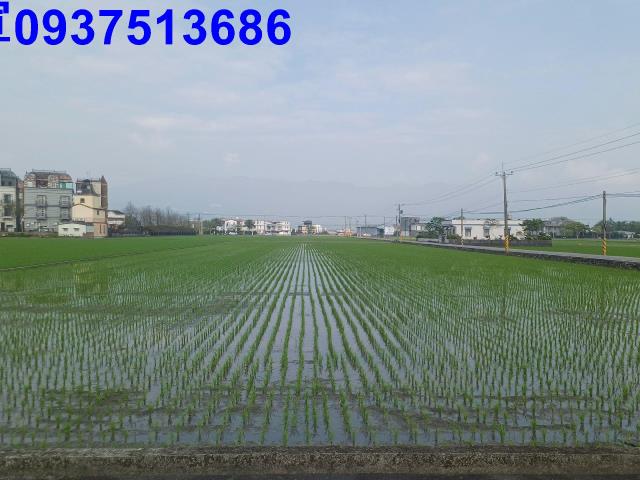 宜蘭壯圍農地-13