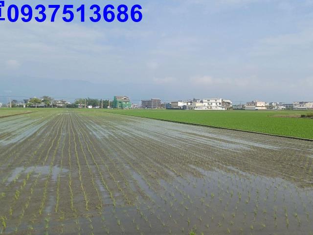 宜蘭壯圍農地-1
