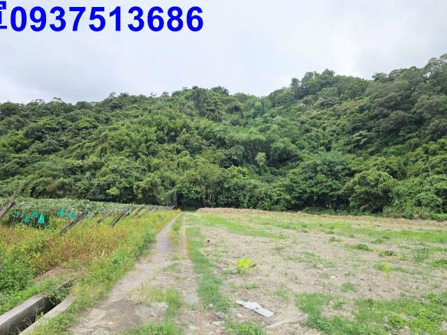 宜蘭員山山坡地-2