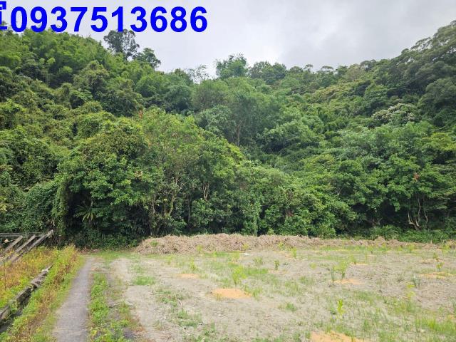 宜蘭員山山坡地-1