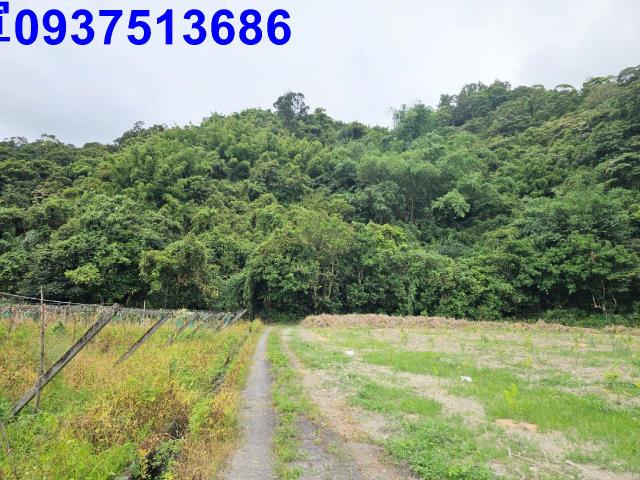 宜蘭員山山坡地-5
