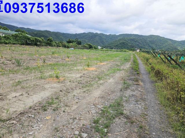 宜蘭員山山坡地-8