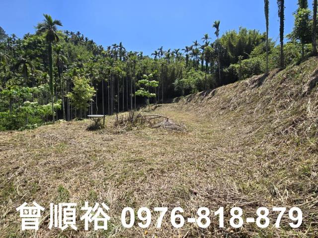 橫山農地-11
