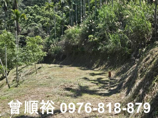 橫山農地-6