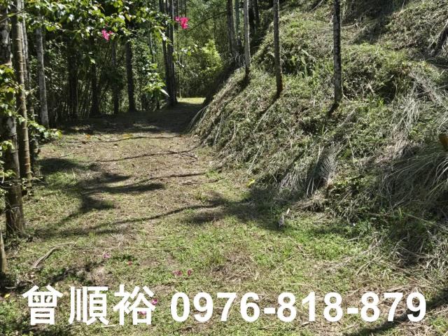 橫山農地-8