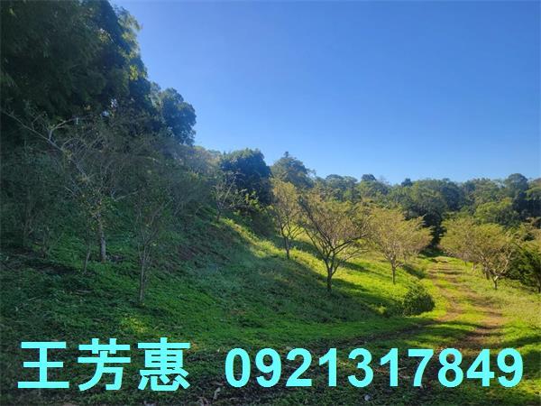 苗栗農地-9