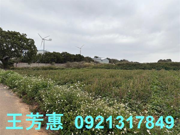 台中農地-8