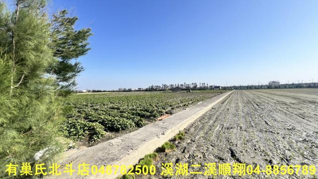 大城農地-3