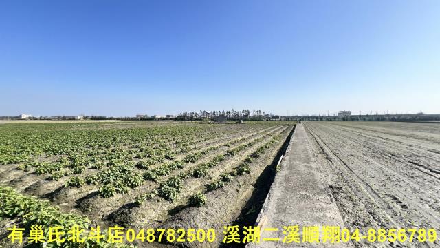 大城農地-4