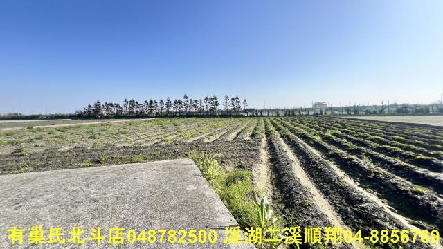 大城農地-6