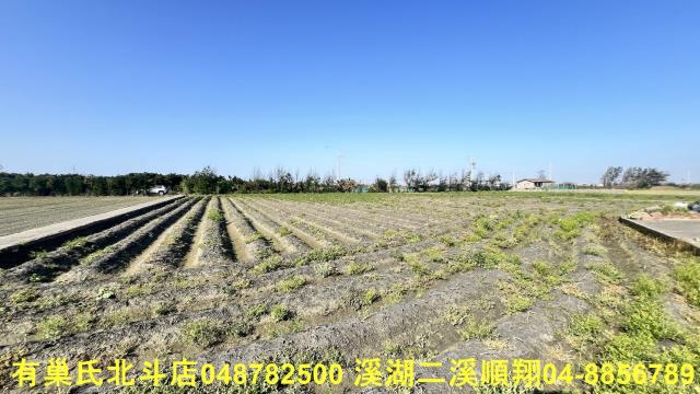 大城農地-7