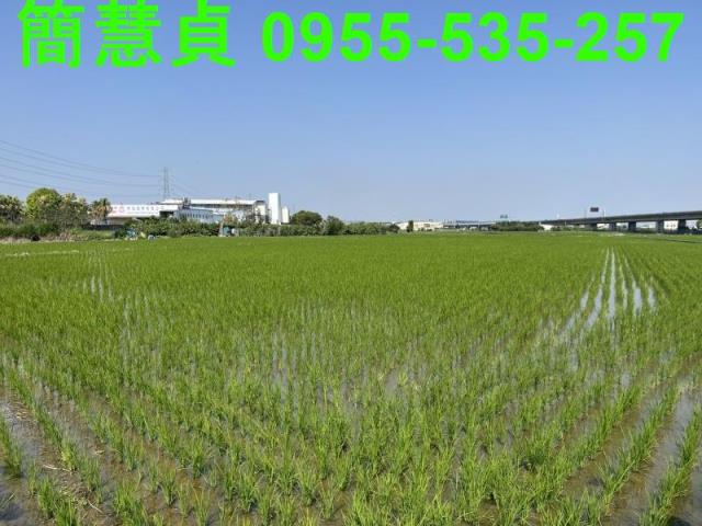 台中農地-5