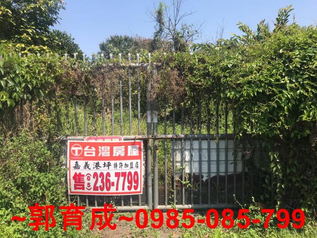 水上農地-1