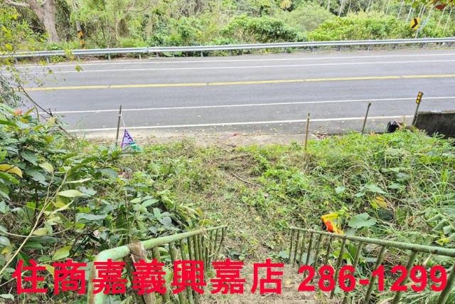 竹崎林地-9