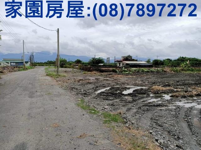 新埤農地-2