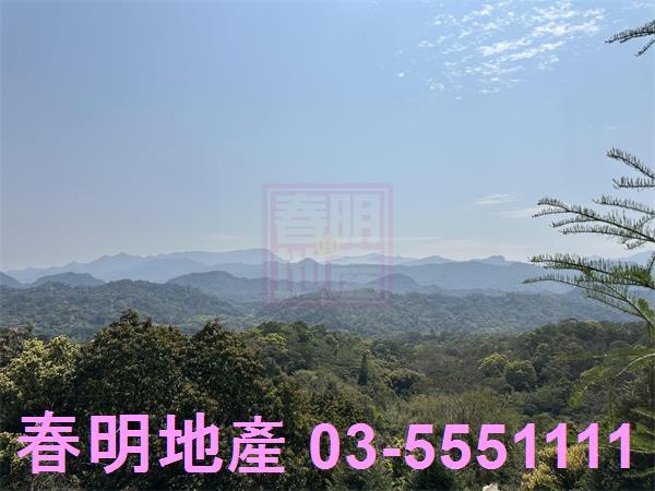 新竹關西林地-4