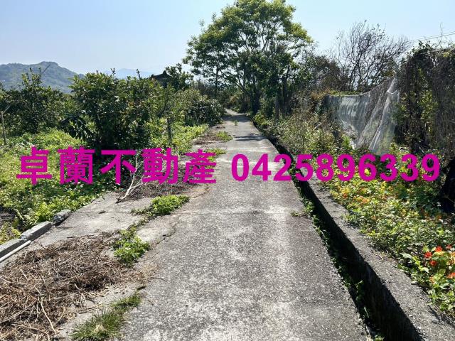 卓蘭農地-11