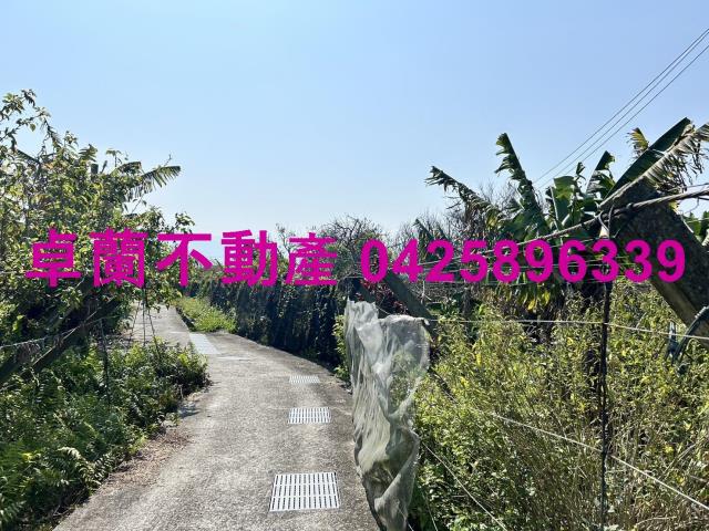 卓蘭農地-2