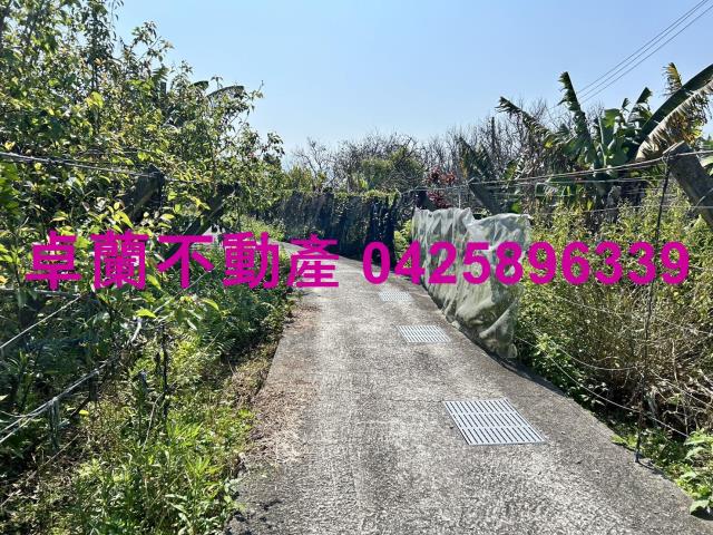 卓蘭農地-3